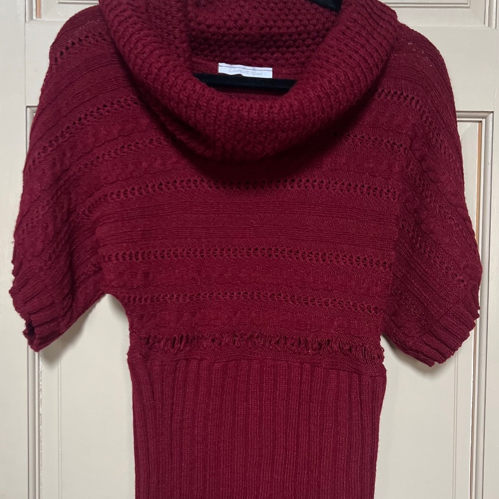 Short sleeve sweater